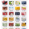ILIA哩啞煙彈一代通用 / 3顆入 / 濃厚度的冠軍 💖【限時滿送主機活動】【煙彈裏有抽獎卡】可兌換獎品